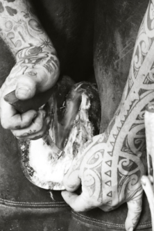 Markus Ax Beschlagsvarianten