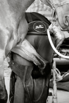 Markus Ax Beschlagsvarianten