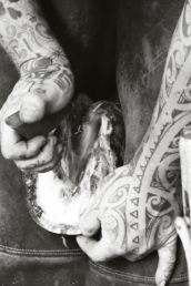 Markus Ax Beschlagsvarianten